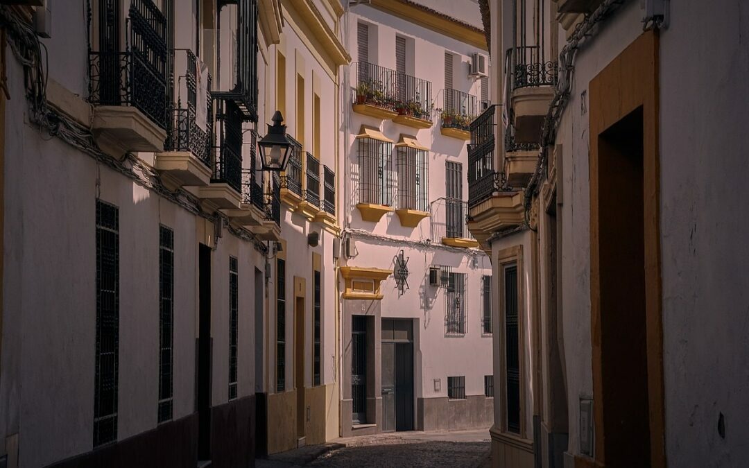 Descubre las mejores zonas para vivir, invertir y establecer tu negocio en Valencia